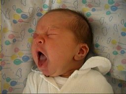 [ Alexander almost sleeping]